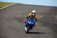 PJ-Motorsport-2019;anglesey-no-limits-trackday;anglesey-photographs;anglesey-trackday-photographs;enduro-digital-images;event-digital-images;eventdigitalimages;no-limits-trackdays;peter-wileman-photography;racing-digital-images;trac-mon;trackday-digital-images;trackday-photos;ty-croes